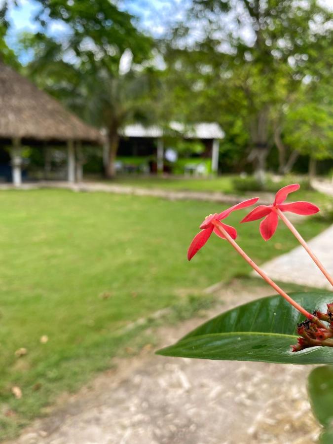 Eco Hotel Bosque Encantado Isla Grande  Exterior foto